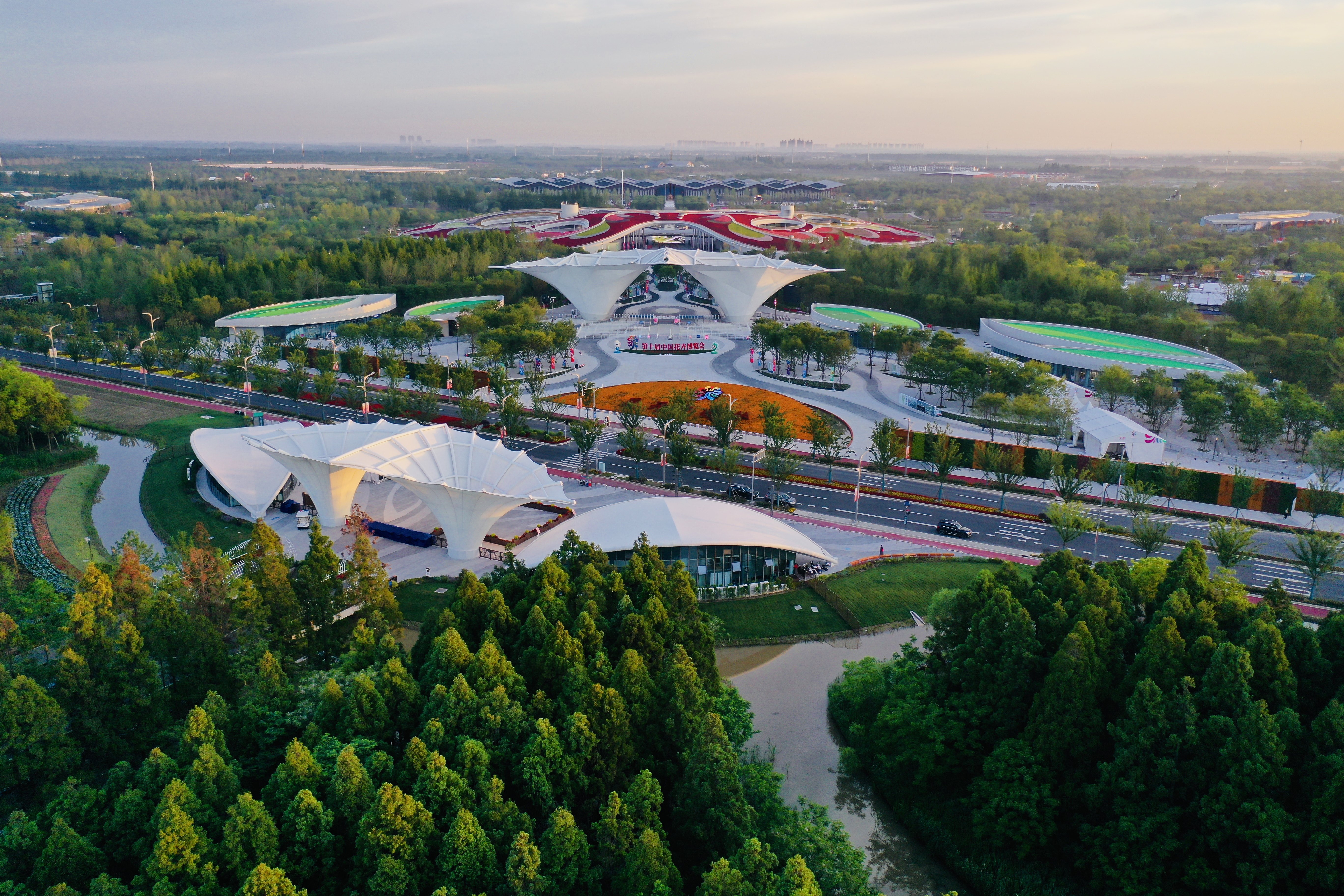 视频 | 第十届中国花博会今开幕,到上海崇明来一次美丽邂逅