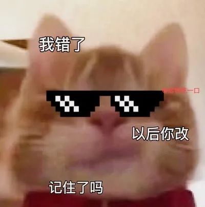 歪嘴可爱小猫表情包系列汇总,来源出处