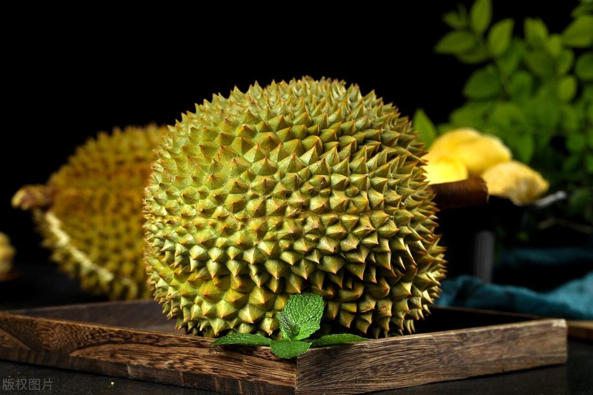 国产榴莲上市!榴莲自由真的来了吗?