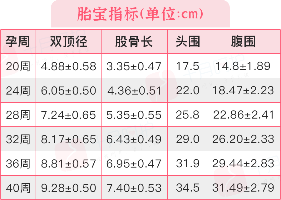 怀孕30周胎儿发育标准图片