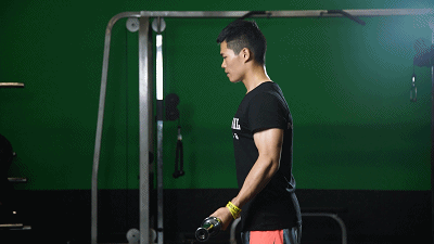 锻炼胳膊肌肉,可以使用器械,负重训练能帮助我们达到更好的效果