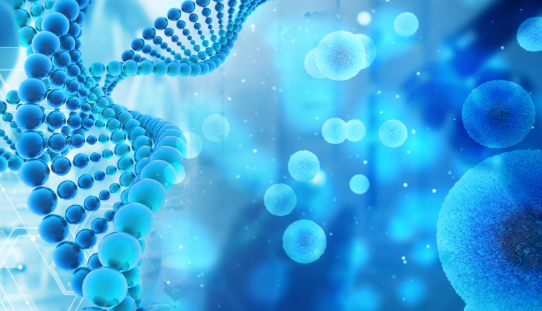 医学界的又一创新——"干细胞活性因子"雾化肺部给养系统