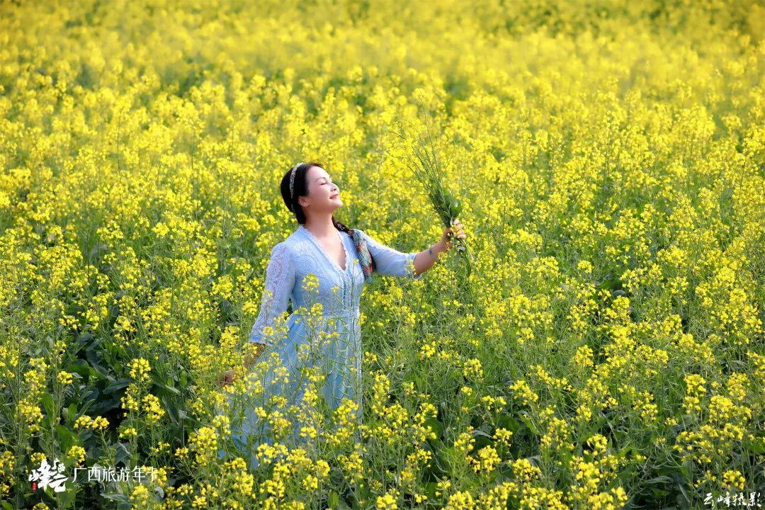 上林油菜花图片