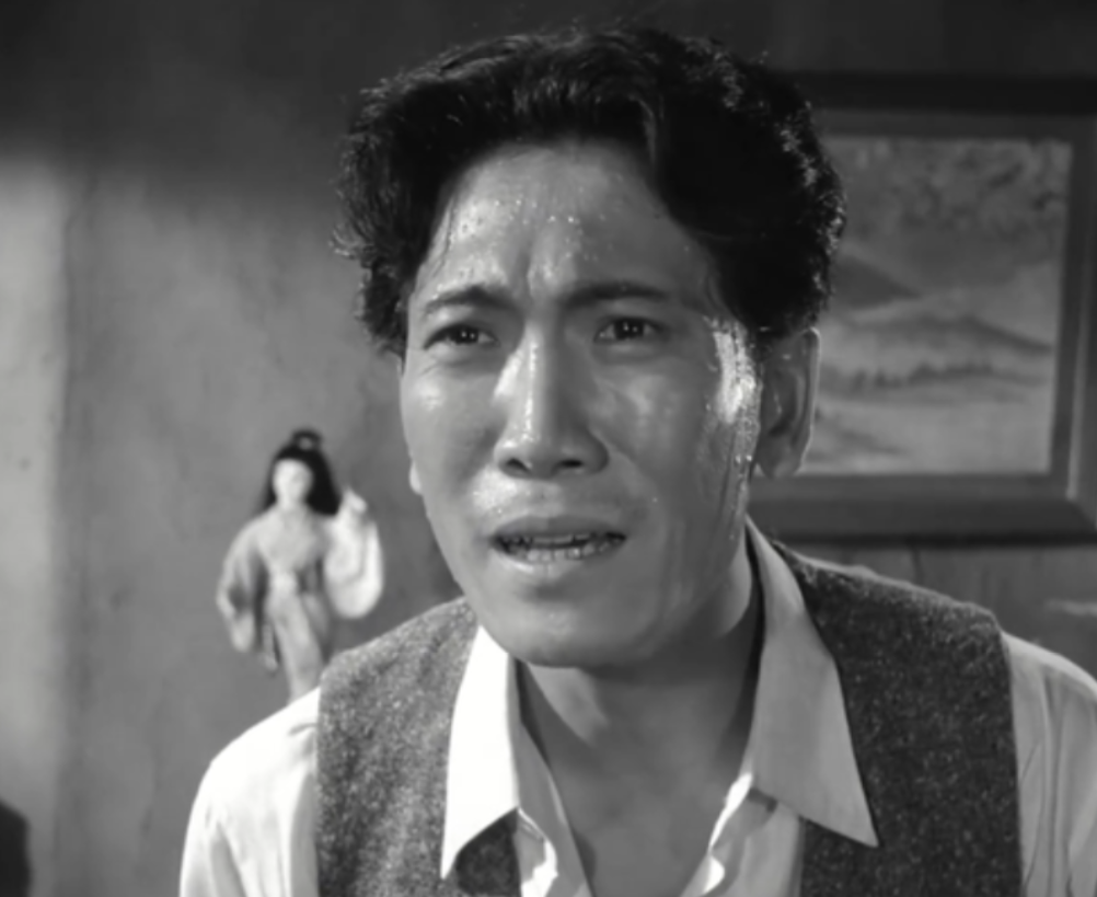 回顾特务万国雄男扮女装潜伏上海6年与爱人白天做姐妹骗倒众人