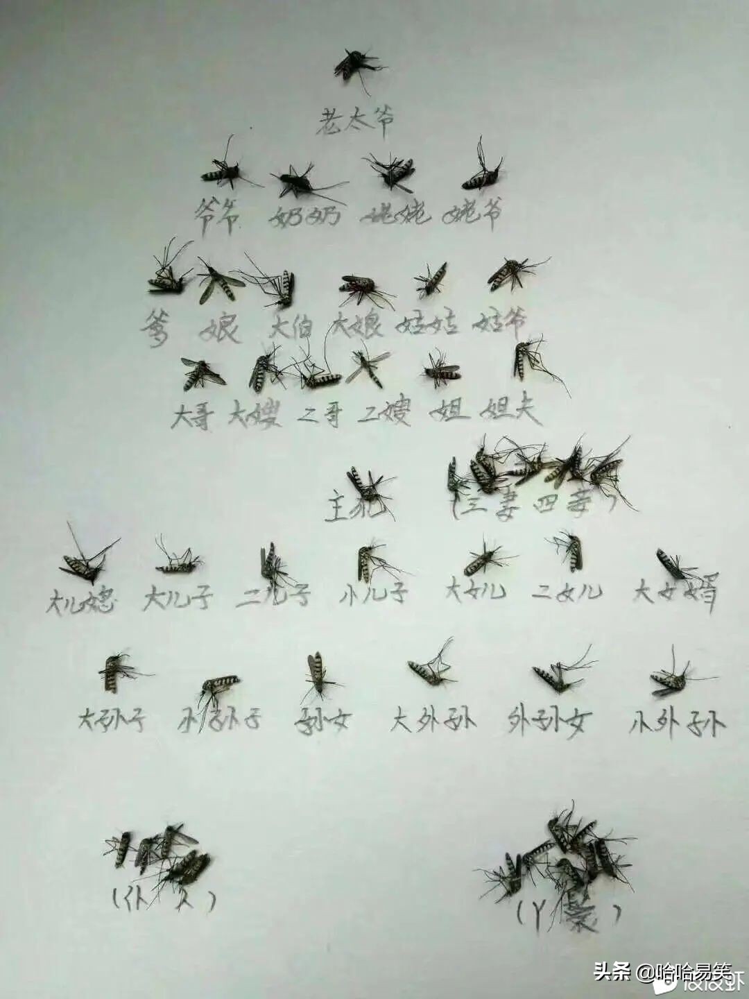 搞笑图文:我也想要这样的女朋友,该到哪里找?