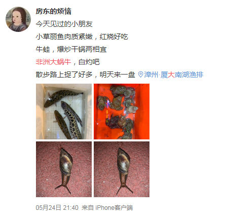 推荐紧急提醒！这种蜗牛千万别碰，会传播结核病、脑膜炎、脑炎等