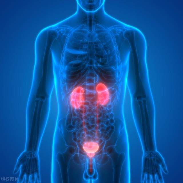 小便涩痛 浑浊 结石体质 试试这个流传千年的"化石散"—八正散