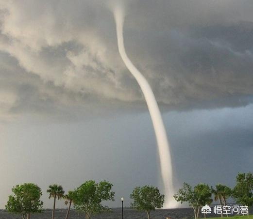 龙吸水是什么意思(龙吸水有什么特殊含义)