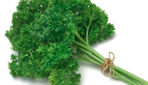 芹菜和欧芹的营养价值区别