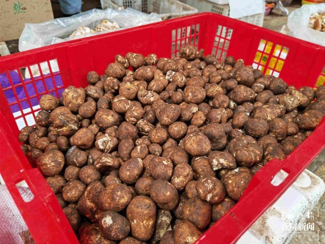 雨水来了,菌子呢?记者走访云南多地市场发现
