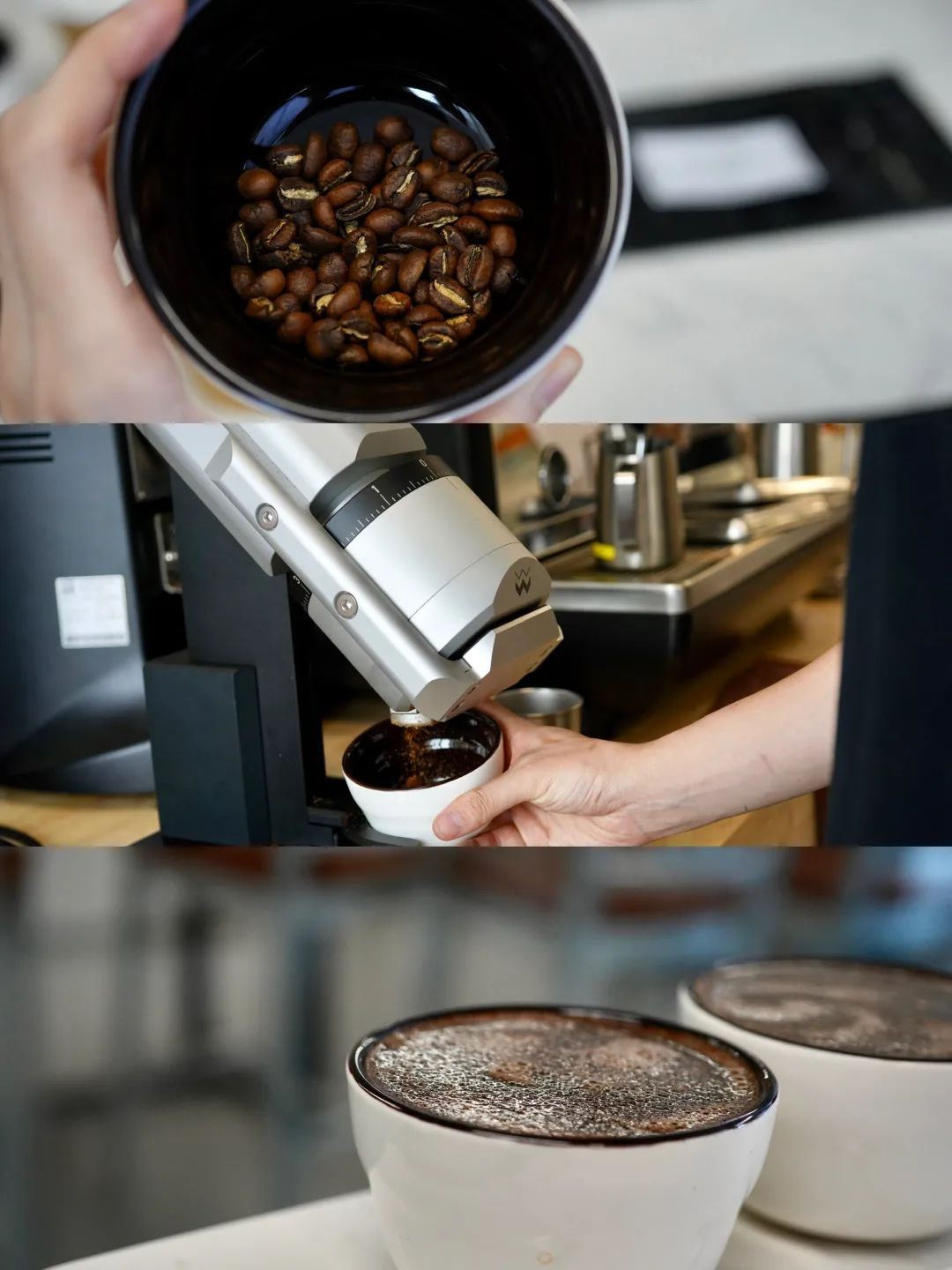 一分钟带你了解sca咖啡课程