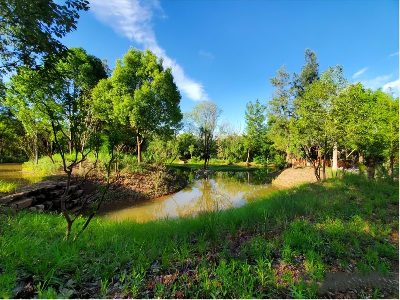 广元人家门口的南河湿地公园,已经私藏了整个春天!