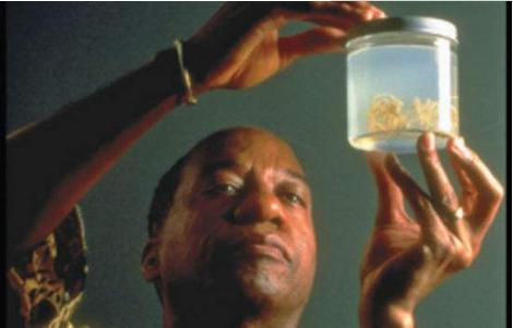 恐怖寄生虫重新侵袭人体,几内亚龙线虫卷土重来?2020我们不平凡