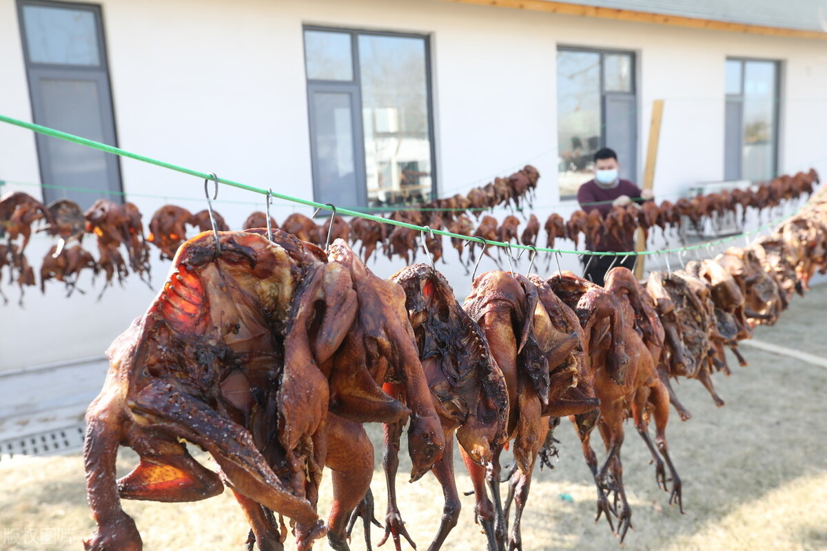 山东日照1000多只风干鸡挂满了院子,金黄色的风干鸡让人流口水