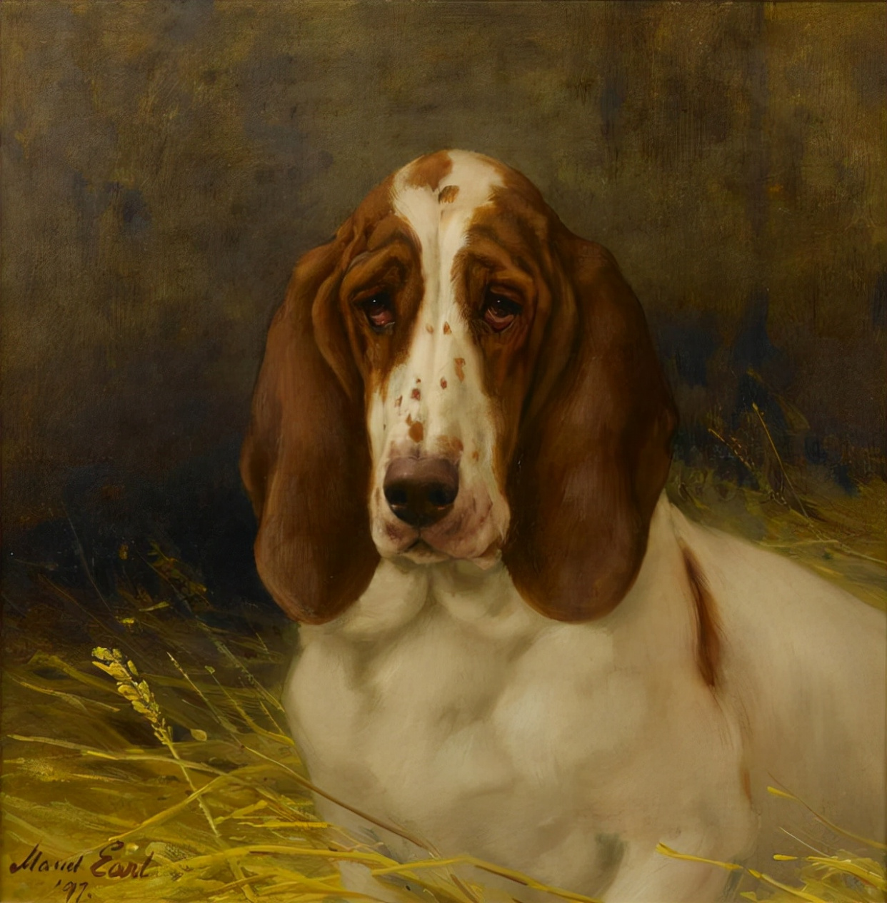 艺术家笔下的写实油画宠物狗100幅