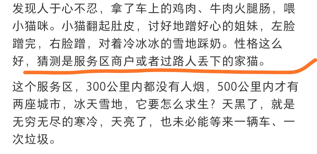 田園貓被丟300公里無人區,天寒地凍沒有食物,看到人就撒嬌討好