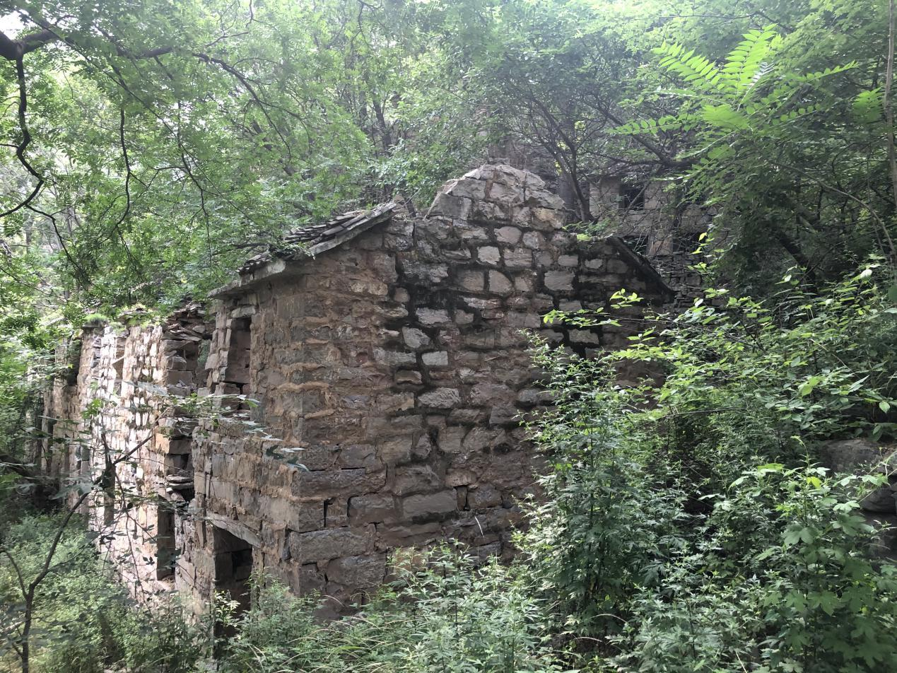 河南一村庄曾是世外桃源,如今空无一人,被当成"中国第一鬼村"