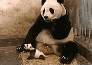 搞笑段子:弟弟帮我指挥倒车,认真负责,撞上后开心地向