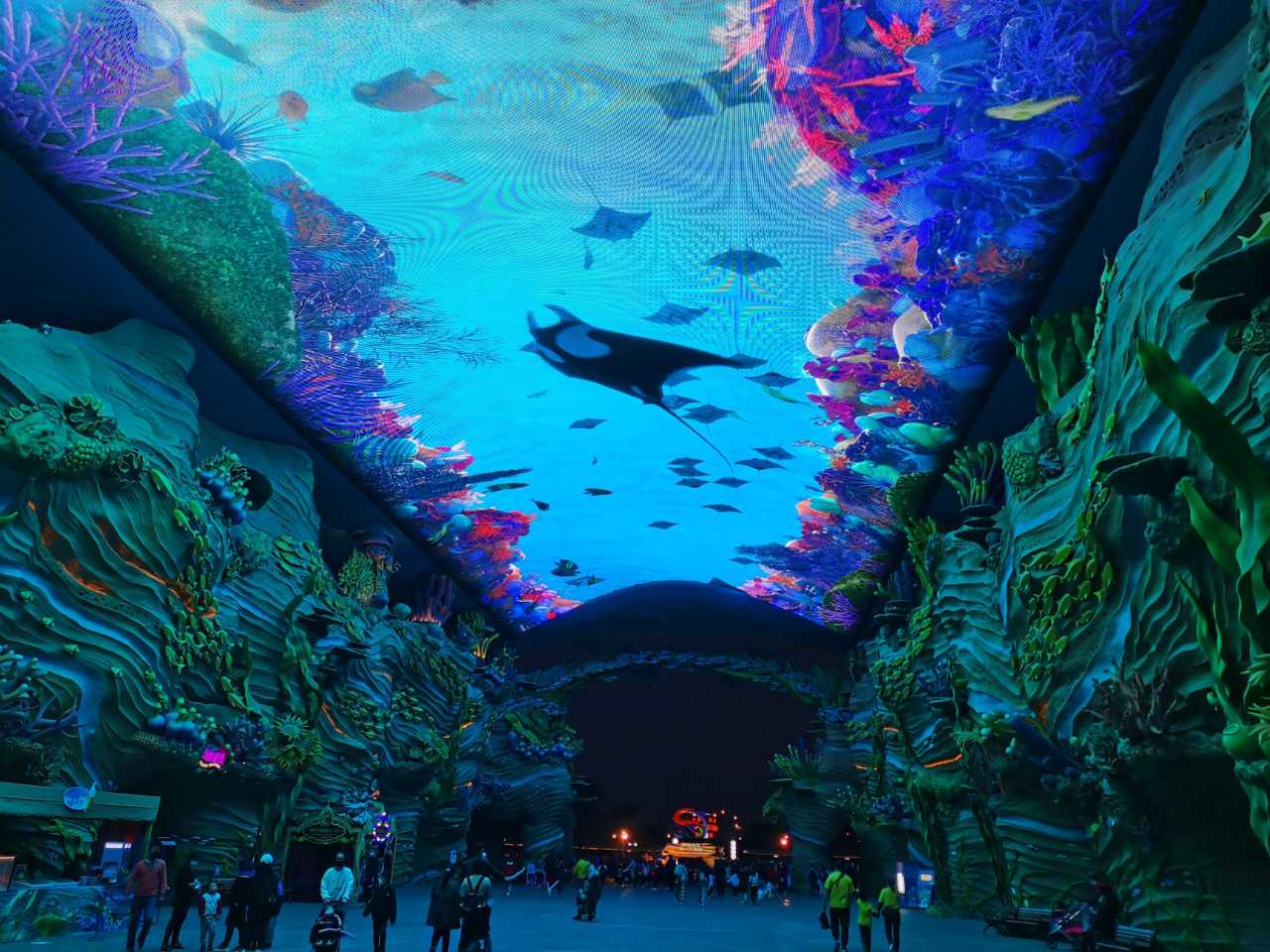 广州人带你玩转珠海长隆——海洋王国 大马戏