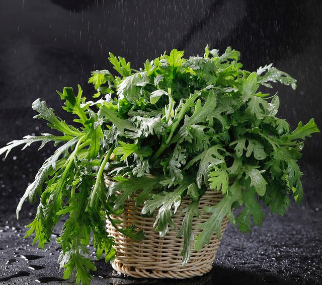 历史饮食文化二十六蓬蒿菜,珍珠菜和豆芽