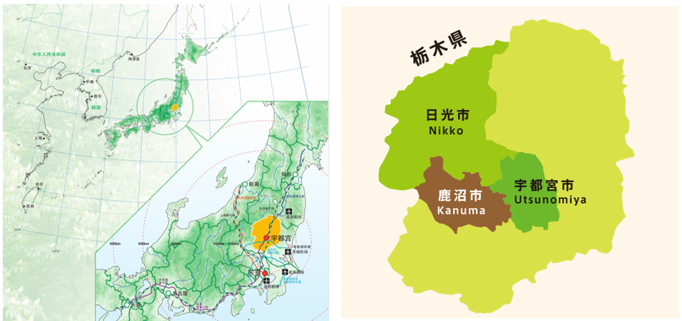 远郊农业参考学习——日本栃木县草莓产业经验