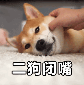 最容易胖成猪的狗,拉布拉多上榜,网友直呼要养不起了!