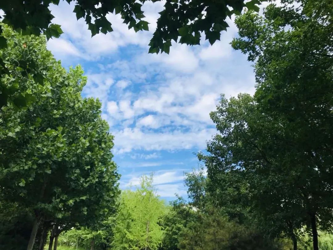 精华|抬头看！北京碧空云海又刷屏了，雨后天空为何如此美丽？