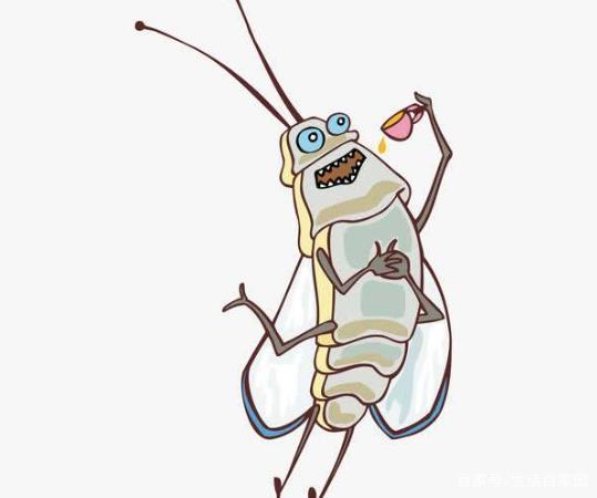 九成人不知道蟑螂"怕"啥,教你1个"土"法子,让蟑螂"自动消失"