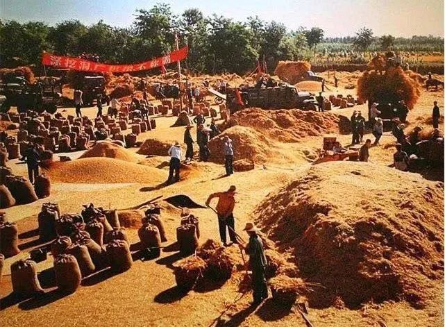 万物皆有灵性:这个生产队的故事,让你相信