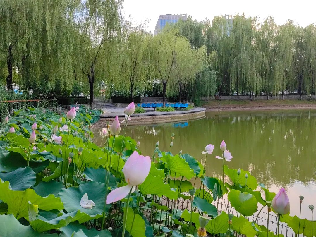 雨后双虹,这么美丽的河北师范大学,你心动了吗?