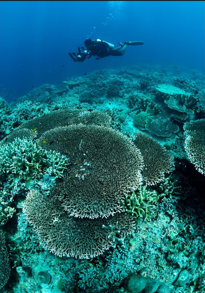 撼动心魄的巴丹群岛