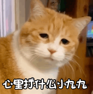 考研院校还没有确定?影响会很大吗?