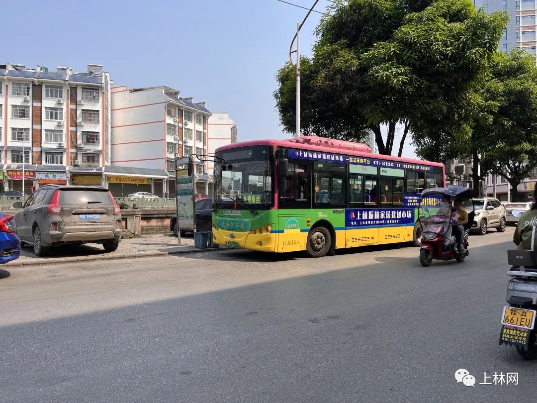快看!上林这些公交车都是免费乘坐的,你有没有坐过?
