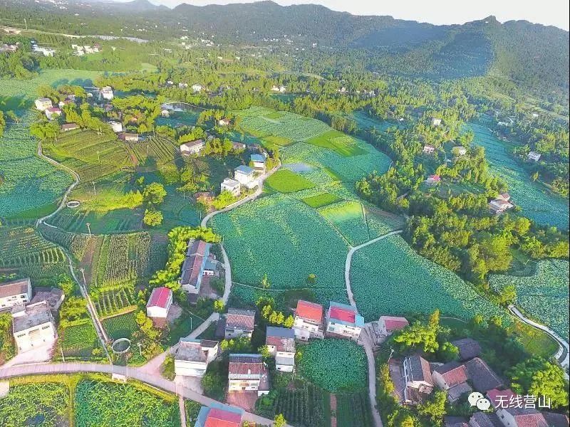营山这么美|乡村美如画,请您欣赏!