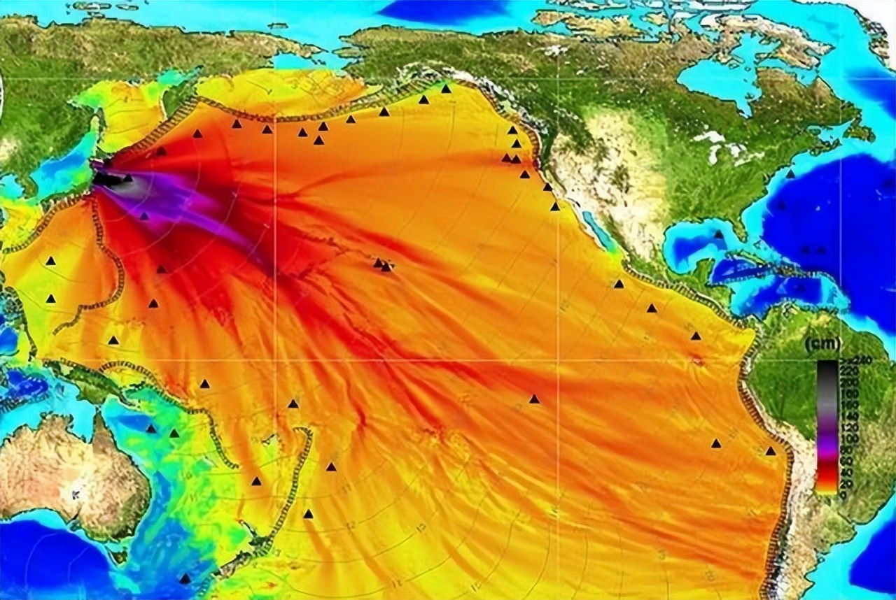 日本福島捕獲的海魚體內,放射性物質超標180倍!