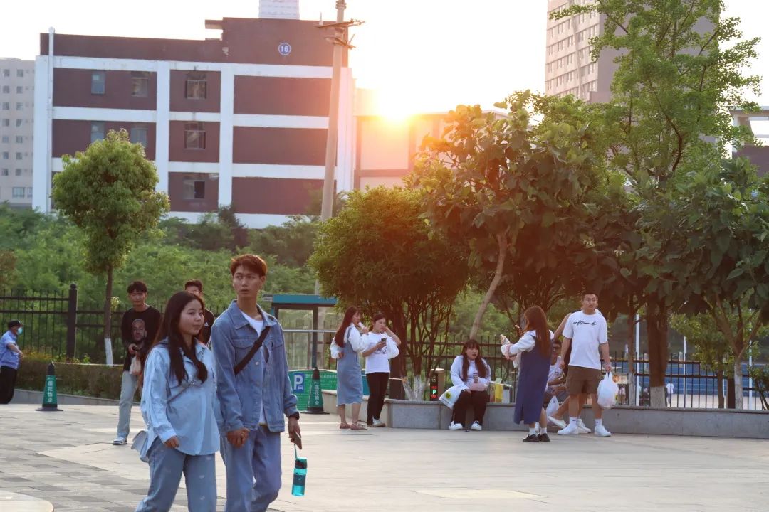 杨林大学城:灯火里,热闹"归位"