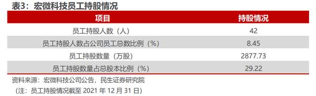 深耕 igbt 領域,宏微科技:新能源展宏圖,細微處見真章