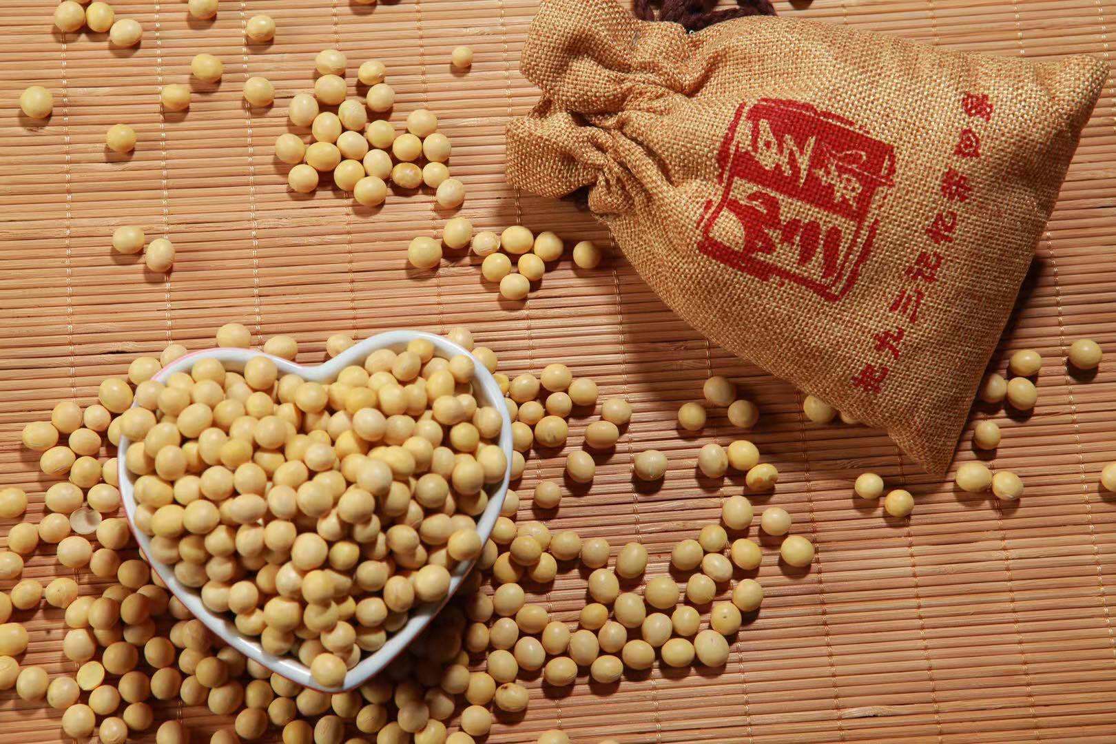 黑龙江农产品地理标志金榜之九三大豆