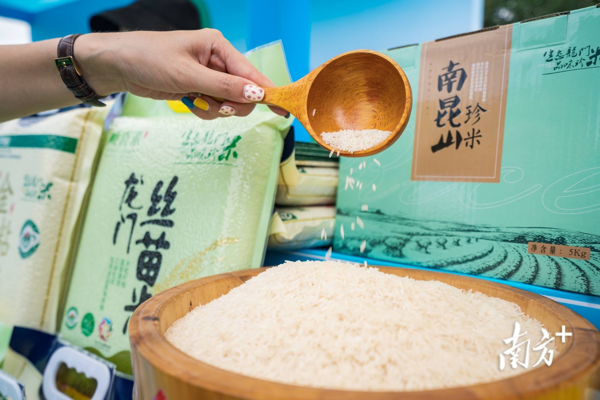 庆丰收,奔振兴!惠州龙门"三黄胡须鸡文化节"开幕