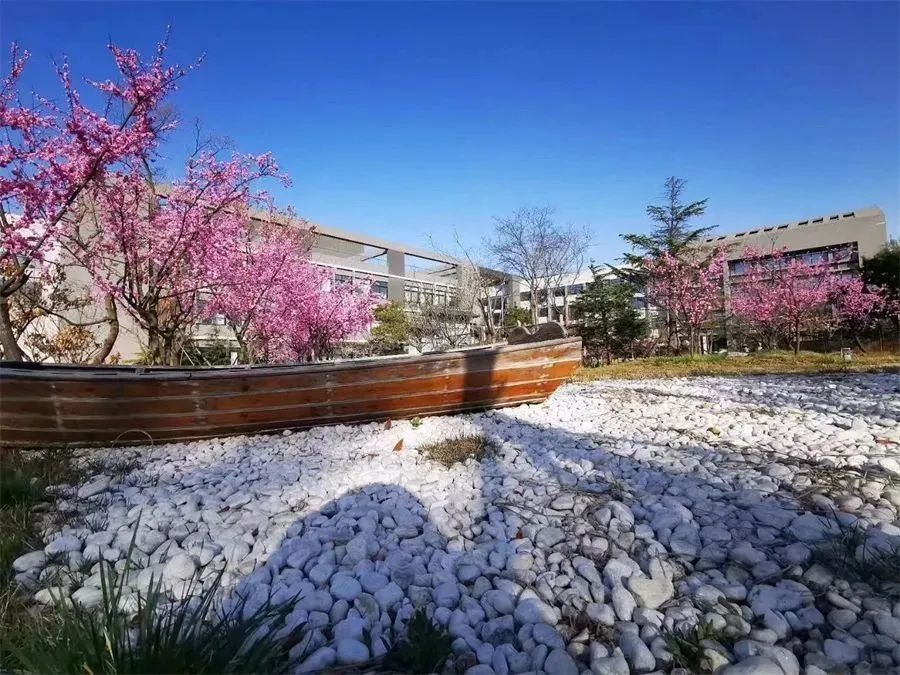 遇见·六中|山东省青岛第六中学绚烂夺目,只待你入画!