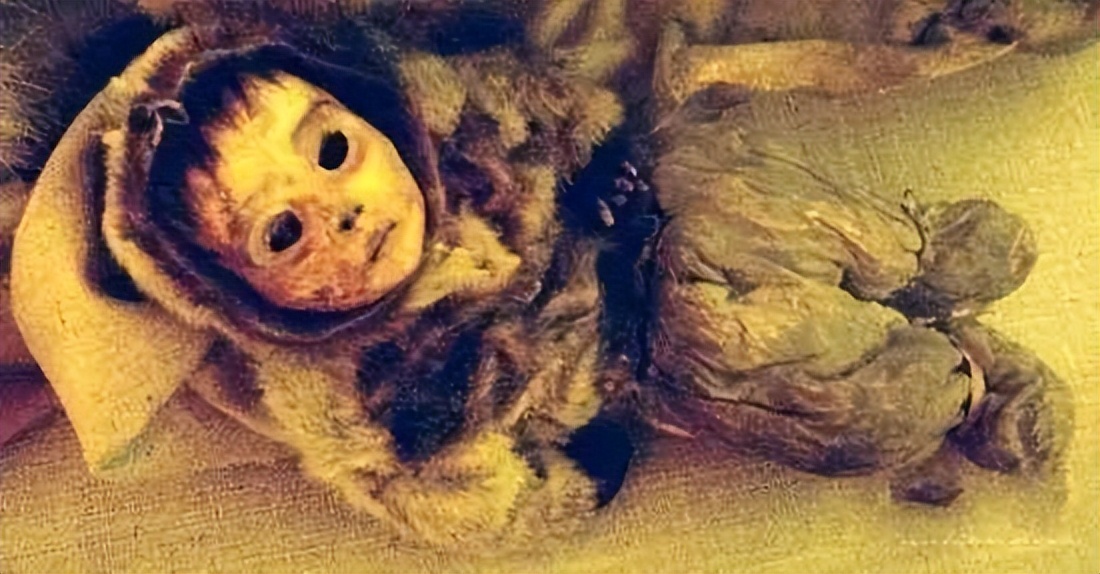 广州荔湾广场故事:女子梦中被黑婴追着喊妈妈,749局出手解决