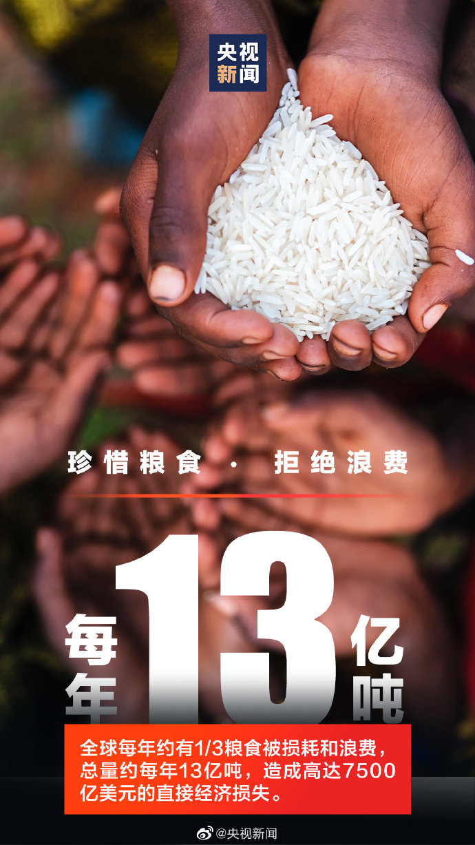 新闻1+1触目惊心的餐饮浪费(新闻1+1触目惊心的餐饮浪费观后感)