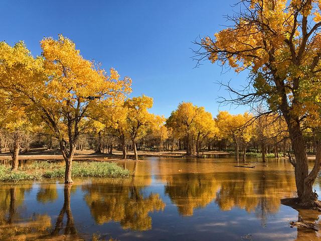 内蒙古有什么好玩的地方?