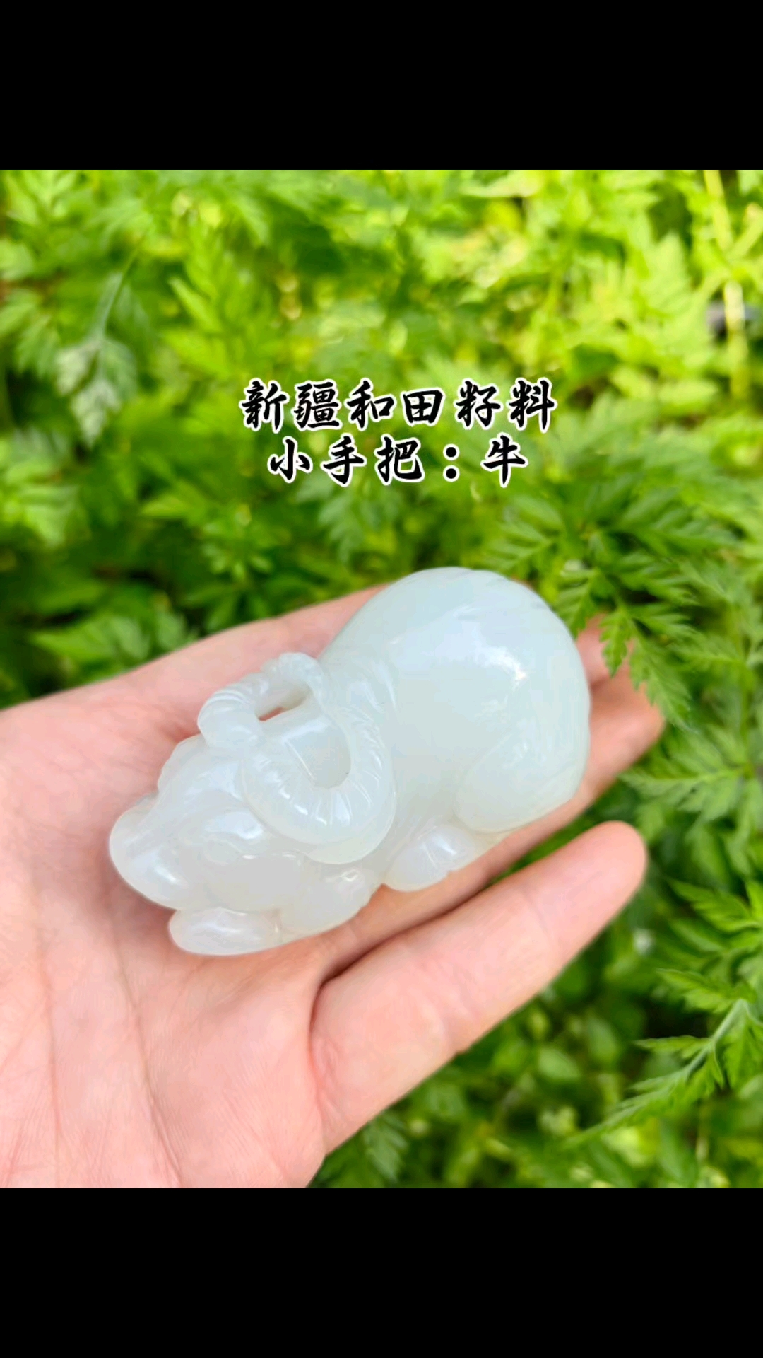 新疆和田玉籽料,《牛》把件