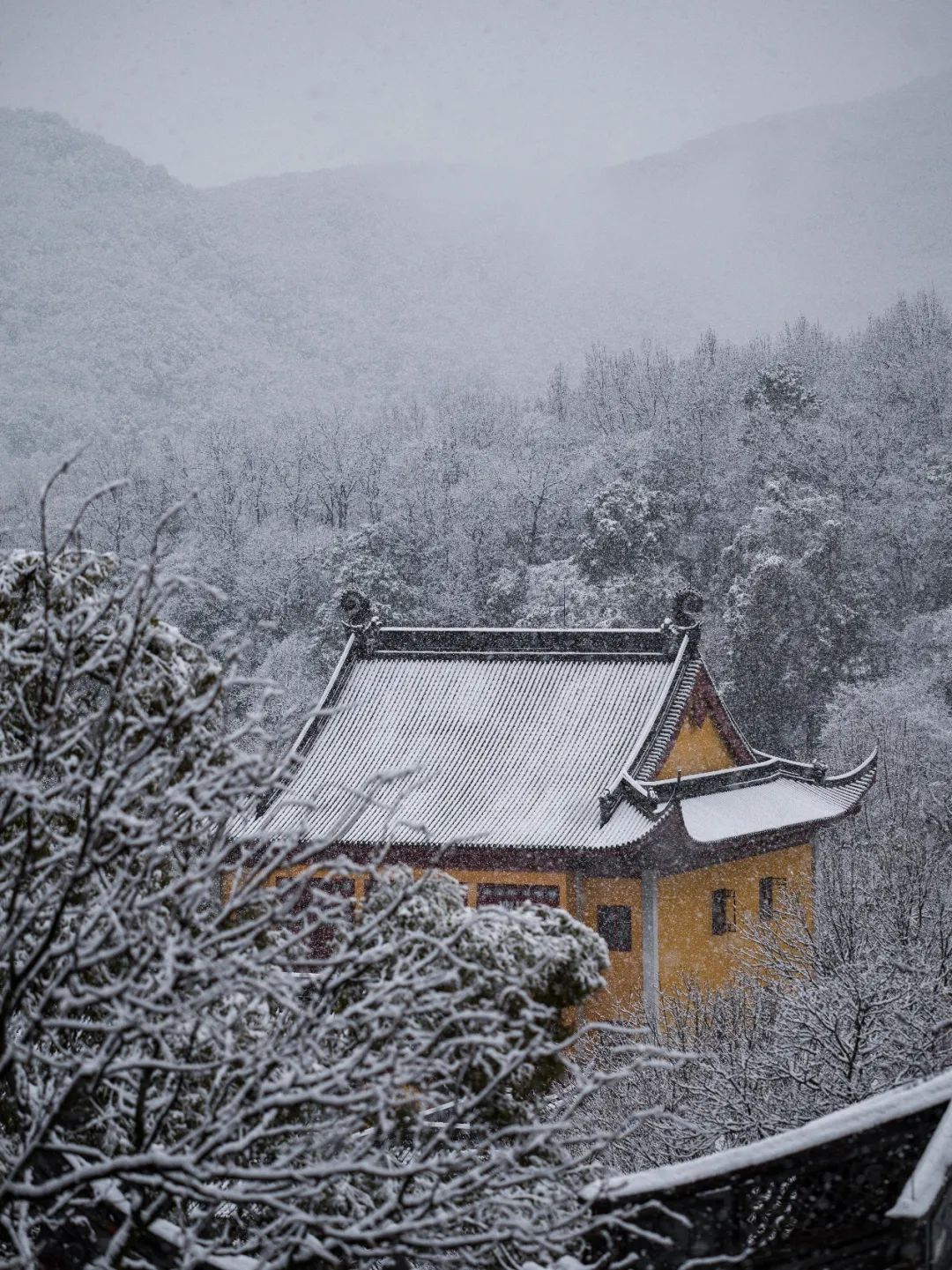 灵隐寺新春瑞雪,雪满乾坤万象新