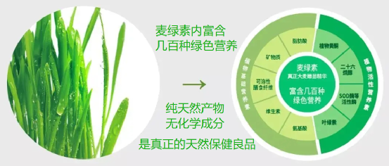 绿素片：源自大自然的养分宝库