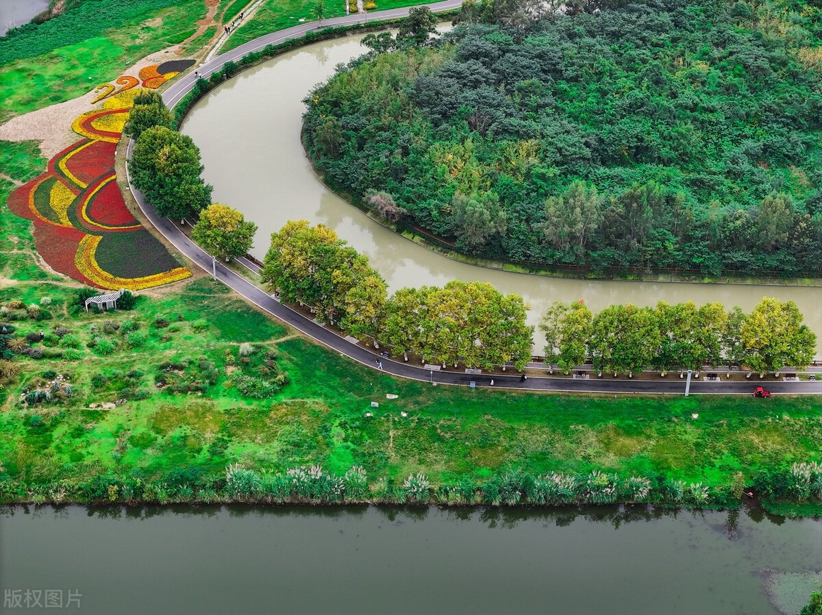 近日,位于四川成都的一个人工湿地公园引起了广泛关注