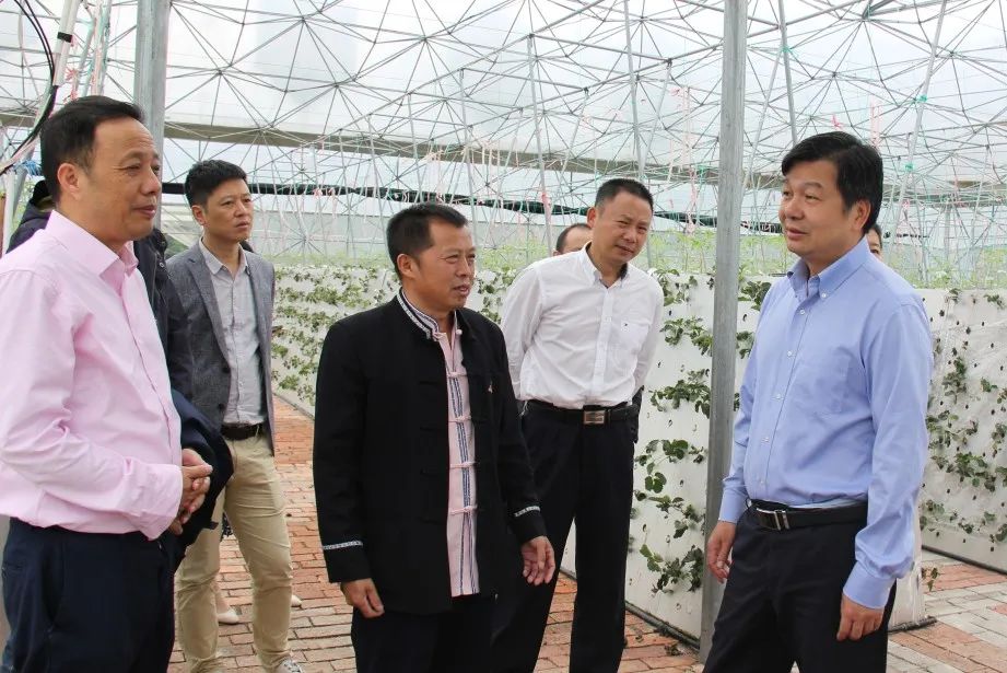 楼炳文赴丽水调研民族乡村振兴工作