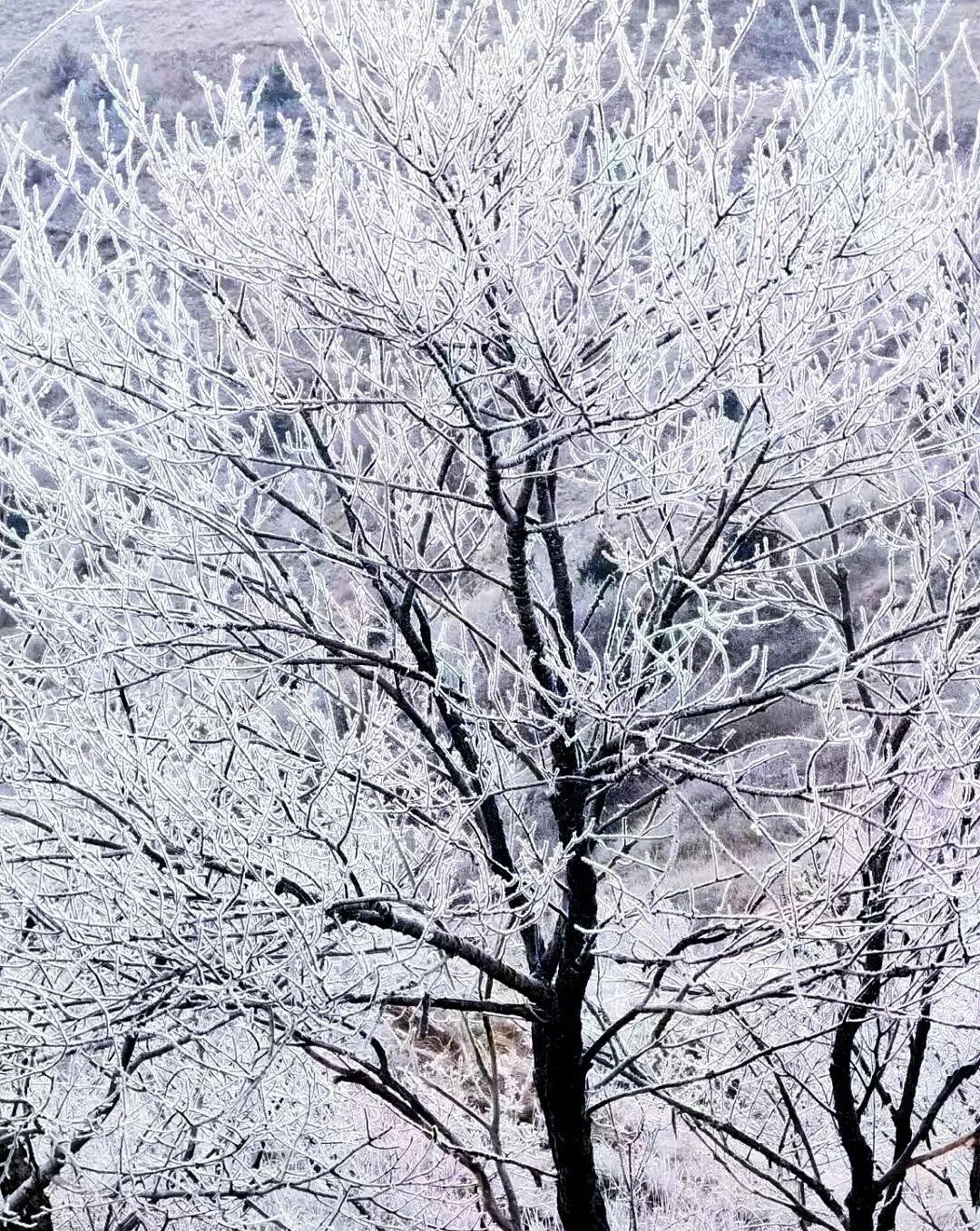 甘肃定西雪景图片