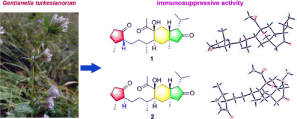 昆明植物所植物二倍半萜研究取得进展